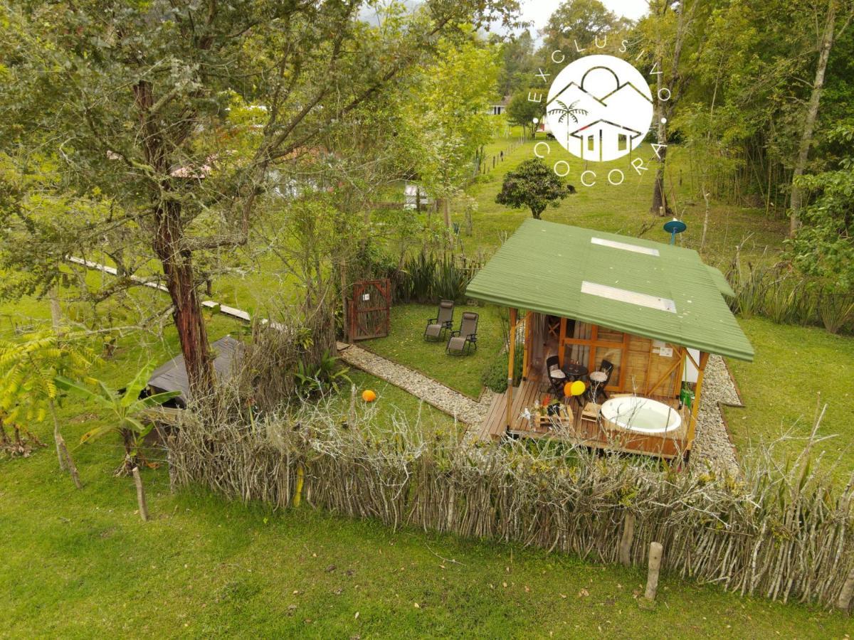 Вилла Exclusivo Cocora Con Jacuzzi Salento Quindio Экстерьер фото