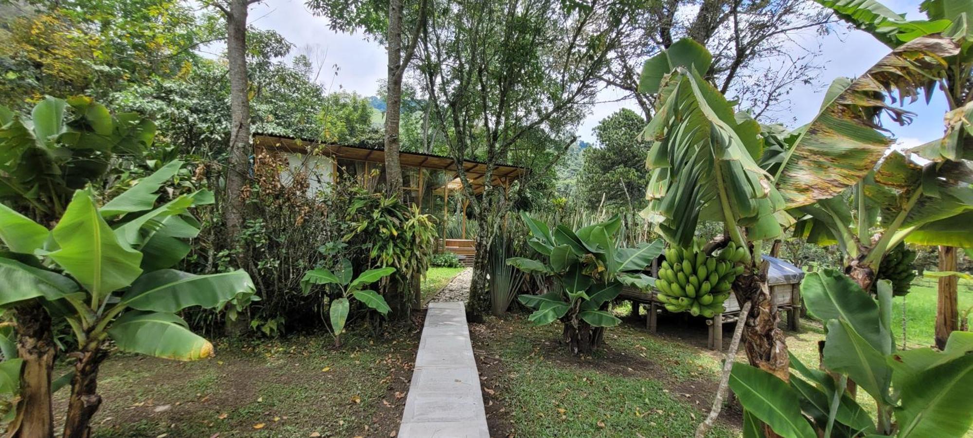 Вилла Exclusivo Cocora Con Jacuzzi Salento Quindio Экстерьер фото